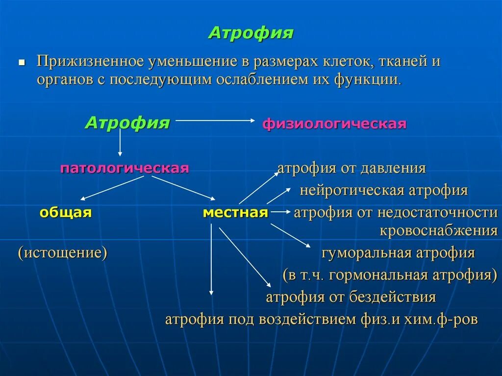 Функции размера клеток