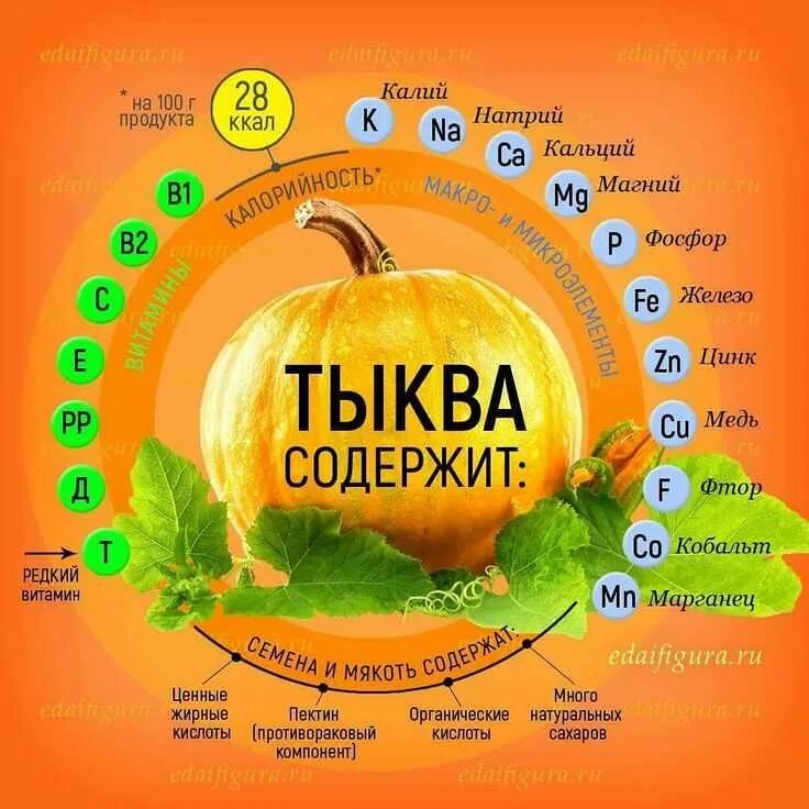 Полезность тыквенных