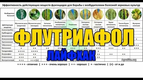 Действующие вещества фунгицидов