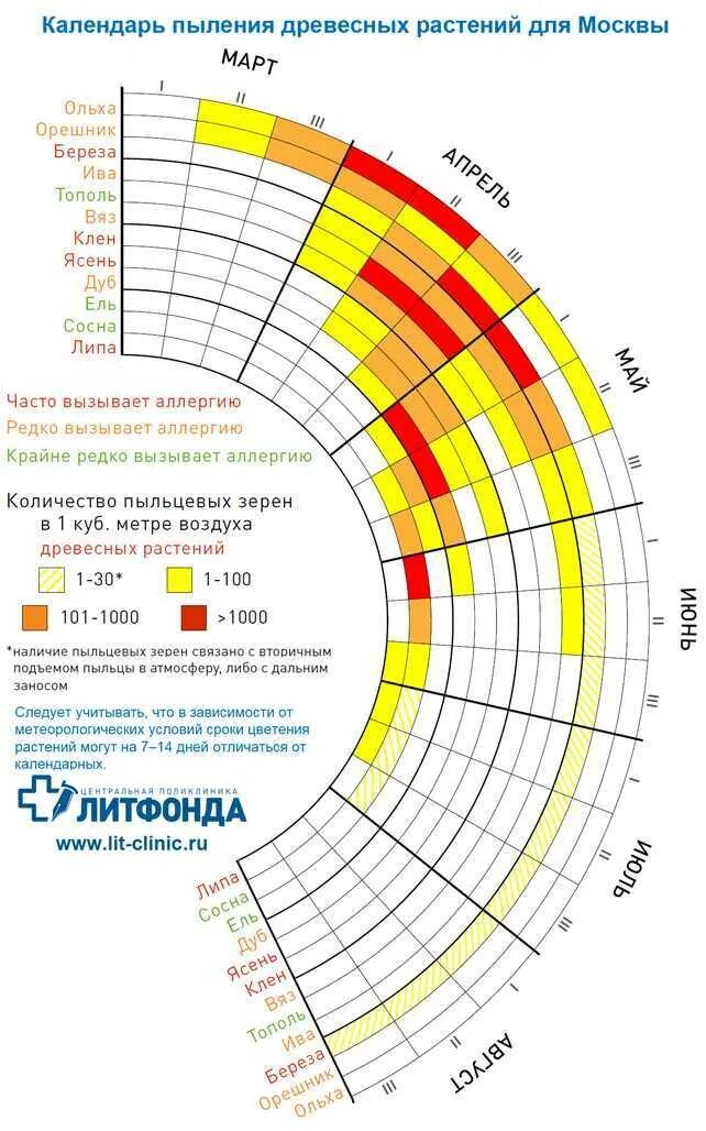 Календарь пыльцы. Календарь цветения. Календарь аллергика. Календарь пыления растений. График цветения растений для аллергиков.