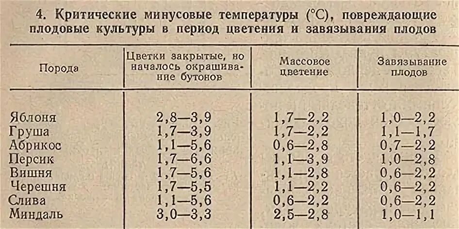 При какой температуре дерево