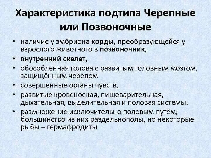 Общая характеристика черепных. Общая характеристика позвоночных. Подтип позвоночные общая характеристика. Подтип Черепные общая характеристика.