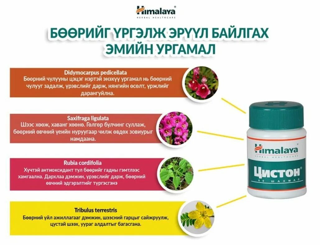 цистон. моча темного цвета. нормальный цвет мочи у взрослого. цистон цвет мочи. цистон таблетки.