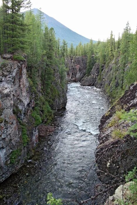 Ооо зун-холба. Герб зун-холба. Зун холба бурятия. Окинский район бурятия зун холба. Зун холба.