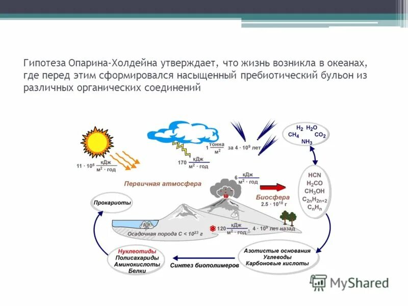 Гипотеза опарина холдейна этапы