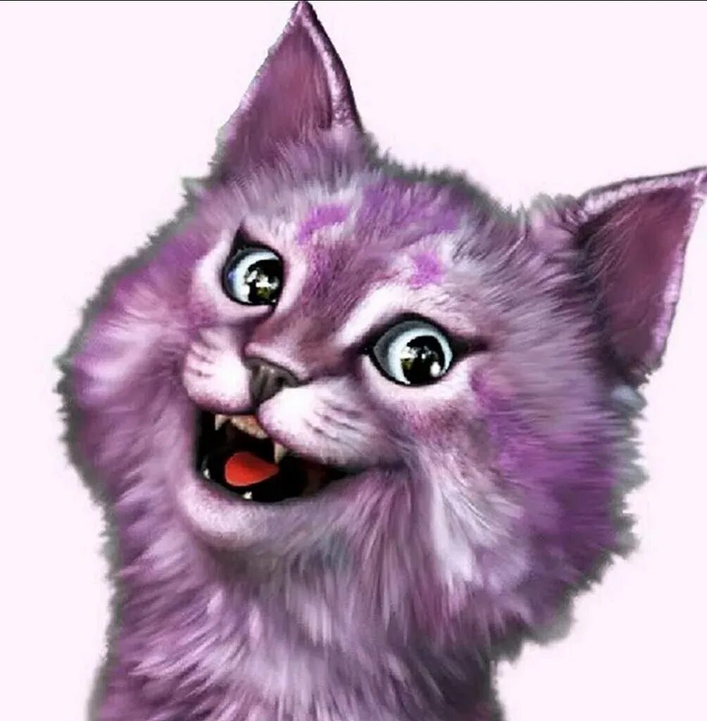 Cats лайк