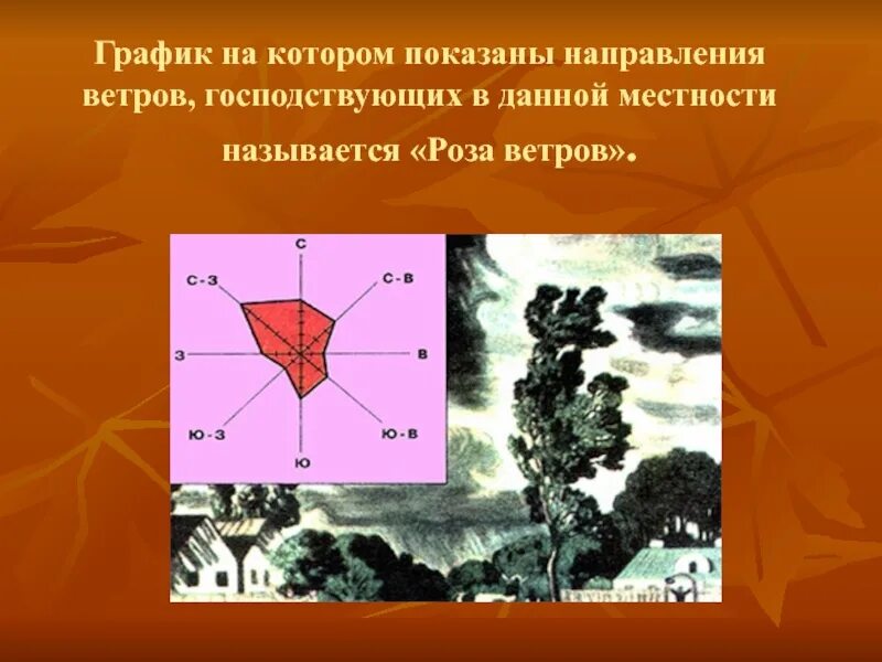 Как называется данный ветер. Господствующие ветры направление. График, показывающий направления ветров. Как определить господствующее направление ветра.