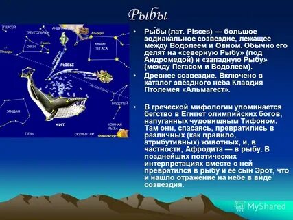 Созвездия сведения