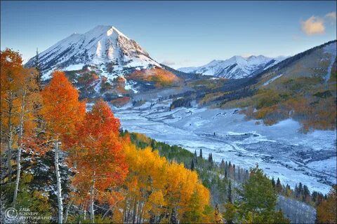 Cold fall