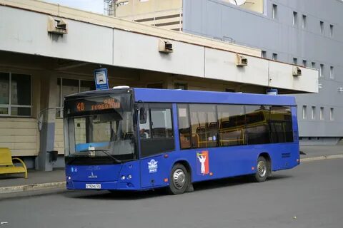192 автобус маршрут