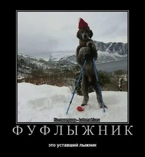 Фуфлыжник это