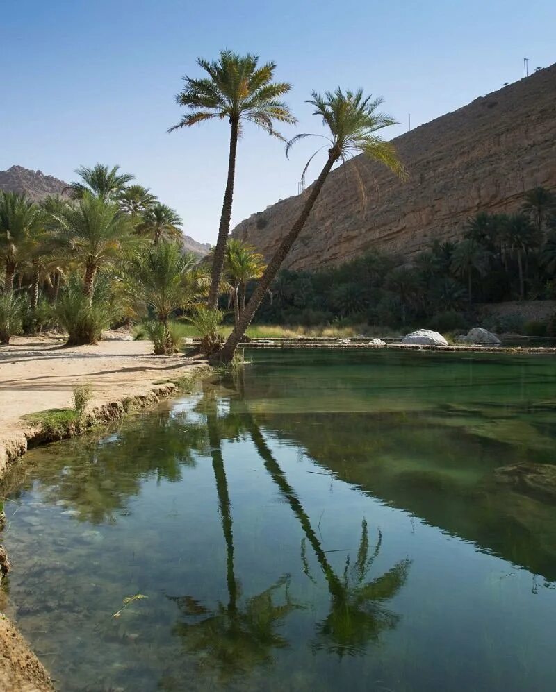 Пустыня Оман Оазис. Салала Оман. Вади-Гарандел Оазис. Сахара Оазис.