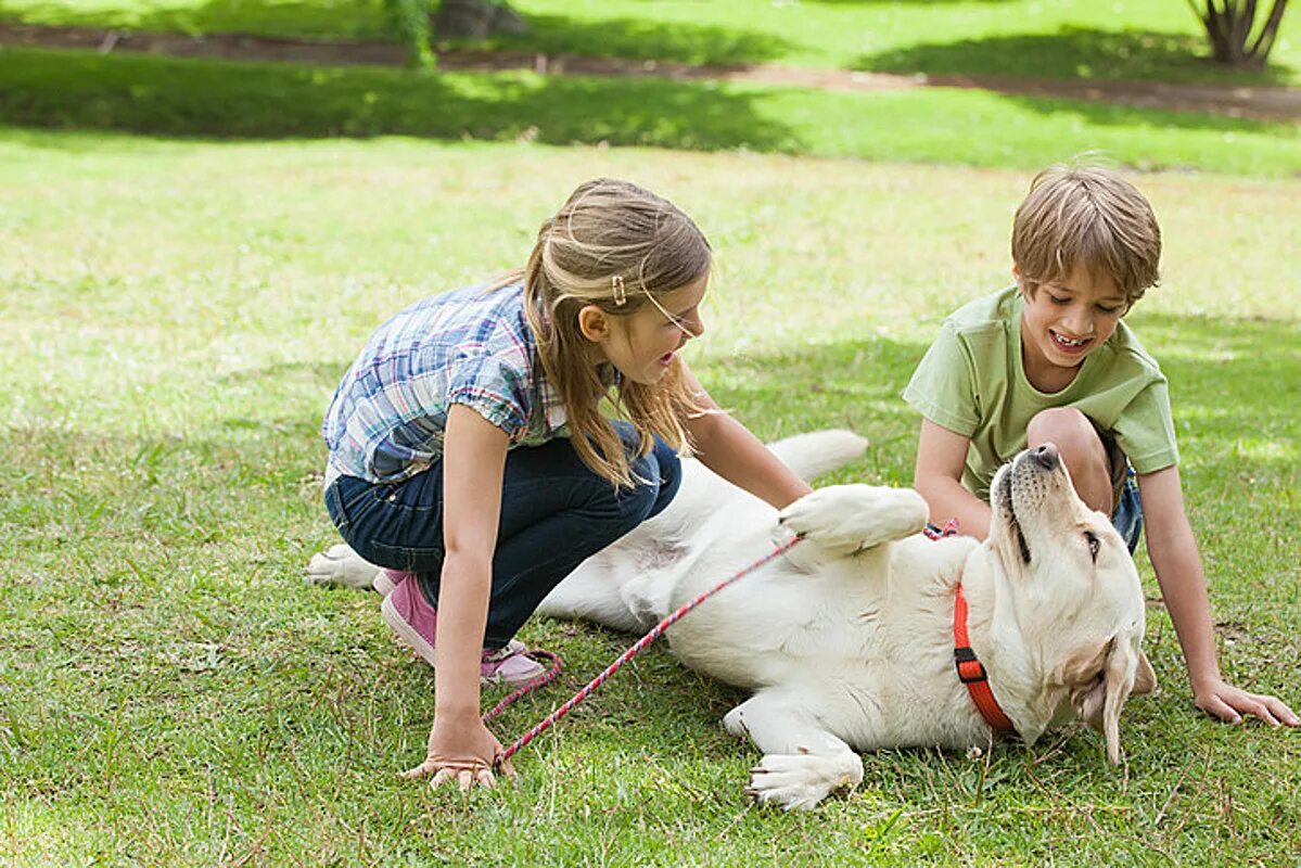 True pets. Человек и домашнее животное. Дети с домашними животными. Собака для детей. Ребенок играет с собакой.