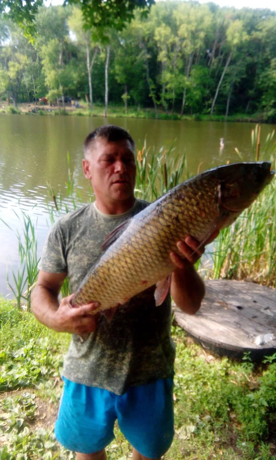 погода на завтра воронеж. прогноз погоды в мурманске. погода температура воздуха. погода в боброве на 10. погода в боброве на 10.