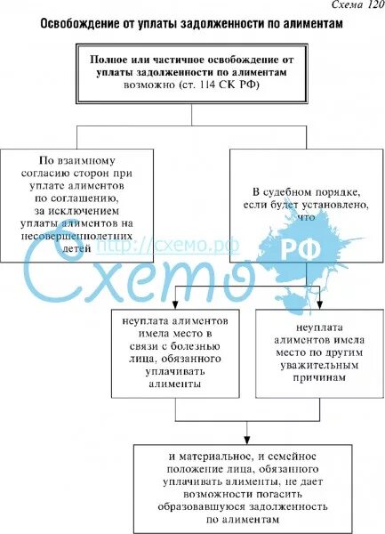 Выплата долгов по алиментам. Освобождение от уплаты задолженности по алиментам. Порядок и условия взыскания задолженности по алиментам.. Освобождение от уплаты задолженности по алиментным платежам..