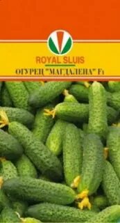 Огурцы мага