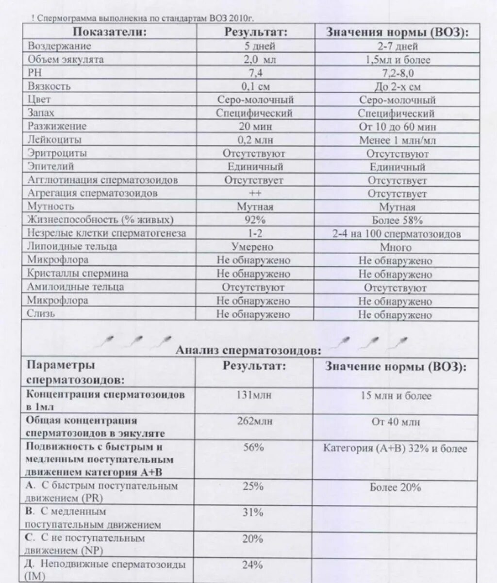Как происходит спермограмма. Спермограмма подвижность сперматозоидов нормы. анализ эякулята нормальные показатели. пример нормального анализа спермограммы. анализ спермограмма нормальные показатели.