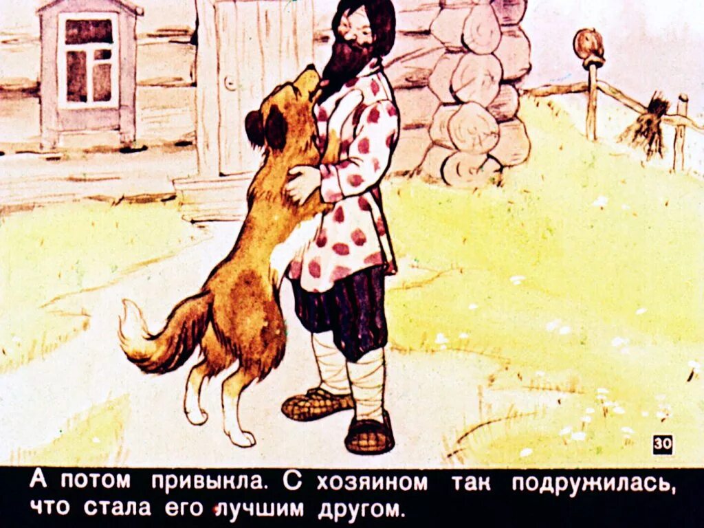 Как собака друга искала мордовская сказка читать. Иллюстрации к сказке как собака друга искала. Рисунок к рассказу как собака друга искала. Как собака друга искала русская народная сказка. Картинки к сказке как собака друга искала.
