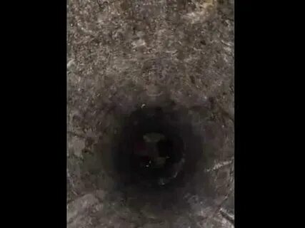 Застрял звони