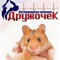 Дружочек