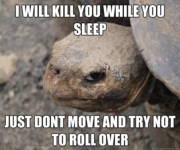 Don t move перевод