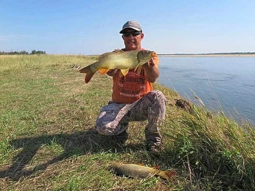 Клев на дону на неделю. Карась Волгоградская область. Водоёмы Волгоградской области. Приволжский пруд Волгоградская область. Сазан Волгоградский.