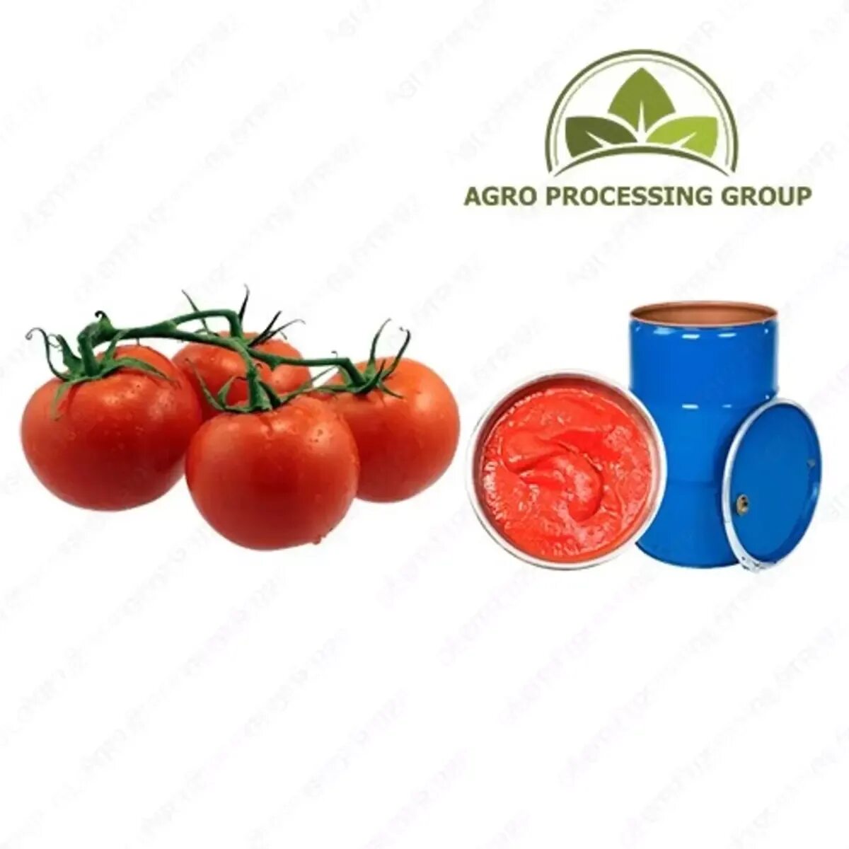 Processing group. Агро процессинг гроуп. agro processing group логотип. «agro processing group» &amp; «agro feed». agro processing group &amp; agro feed директор компании буриев.