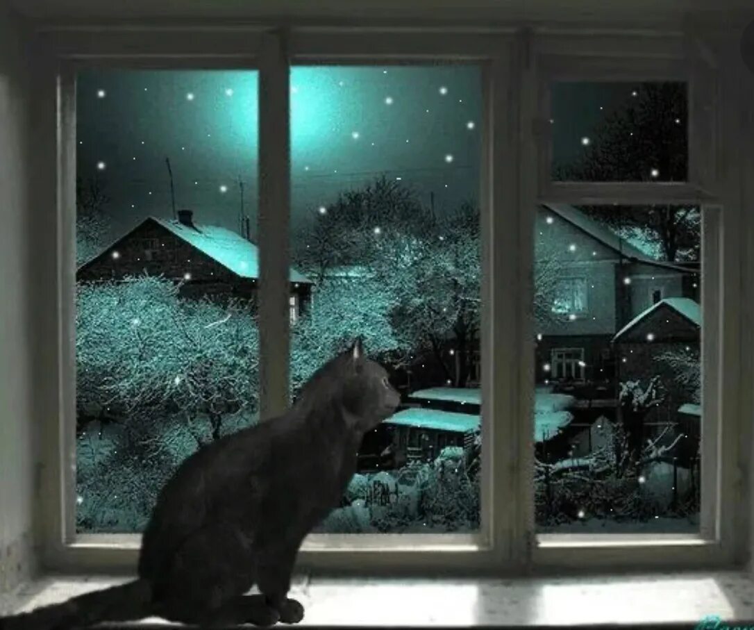 Подхожу к окну и вечер. Кот на окне. Зимнее окно. Окно зимой. Окно с зимним пейзажем.