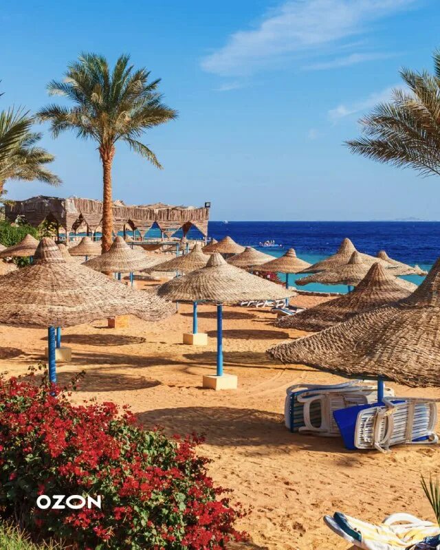 какой курорт египта выбрать. отель риксос египет шарм-эль-шейх. шарм египет риксос риксос. пляжи шармаль шейха. храм петра шарм ель шейх.