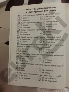 Тест дикорастущие и культурные