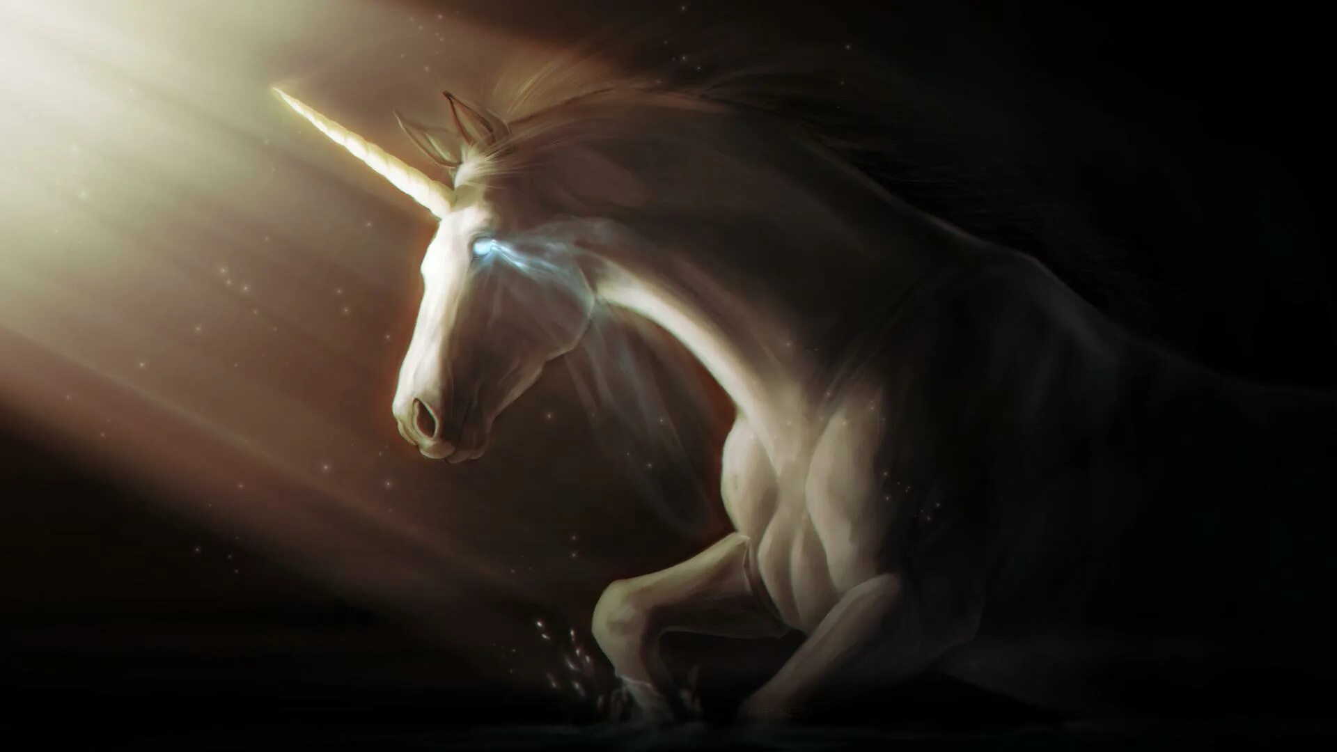C unicorn