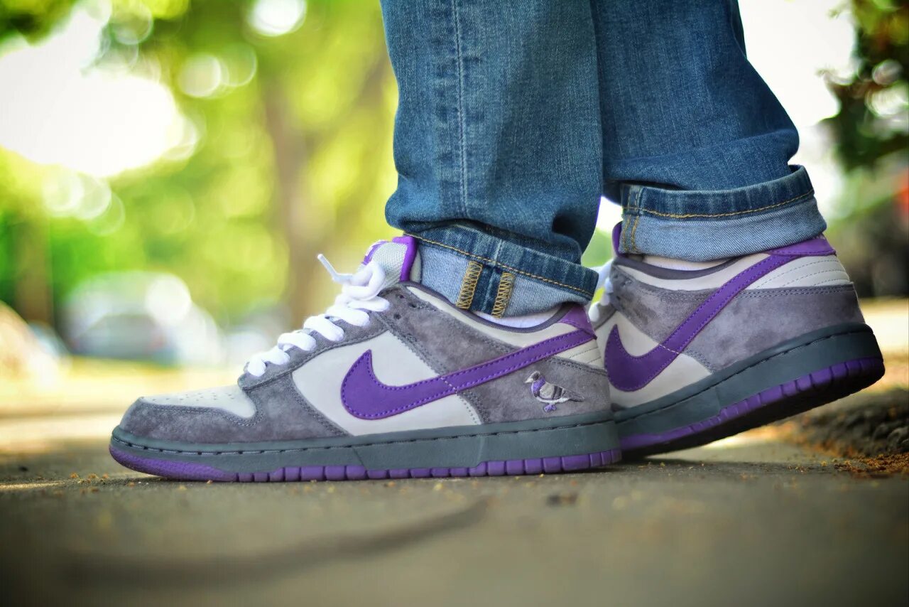 Найк с голубем. Nike SB Dunk Low Purple Pigeon. Nike SB Dunk Purple Pigeon. Nike SB Dunk Low фиолетовые. Nike Dunk Low Purple Pigeon.