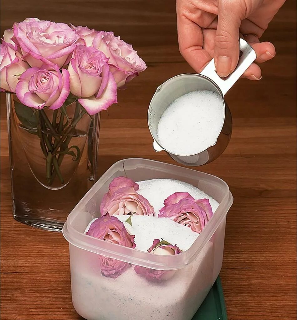 Как сохранить цветы в воде подольше. Flower drying silica gel crystals. высушить цветы в манке. цветы высушенные в силикагеле. консервация цветов в силикагеле.