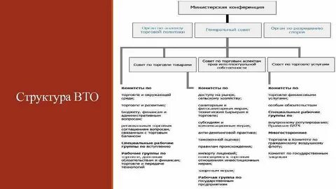 Структура вто