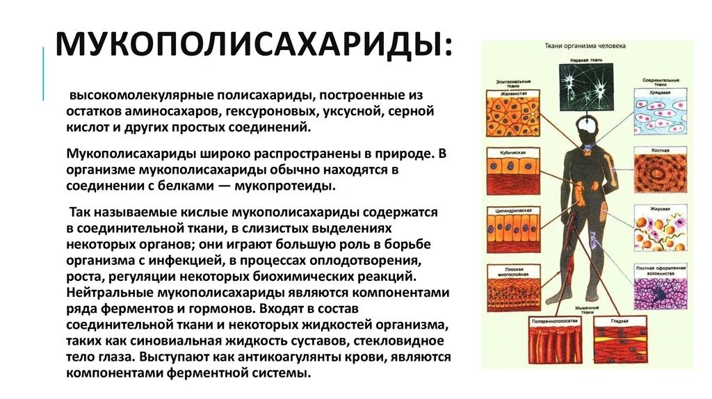 Что означает появление при выполнении. Мукополисахариды и их роль в организме. Мукополисахариды функции. Строение мукополисахаридов. Мукополисахариды строение.