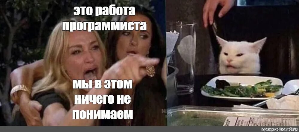 Мем кот не понимает. Мем с котом за столом. непонимающий котик. кот из мемов за столом. не понимающий кот.