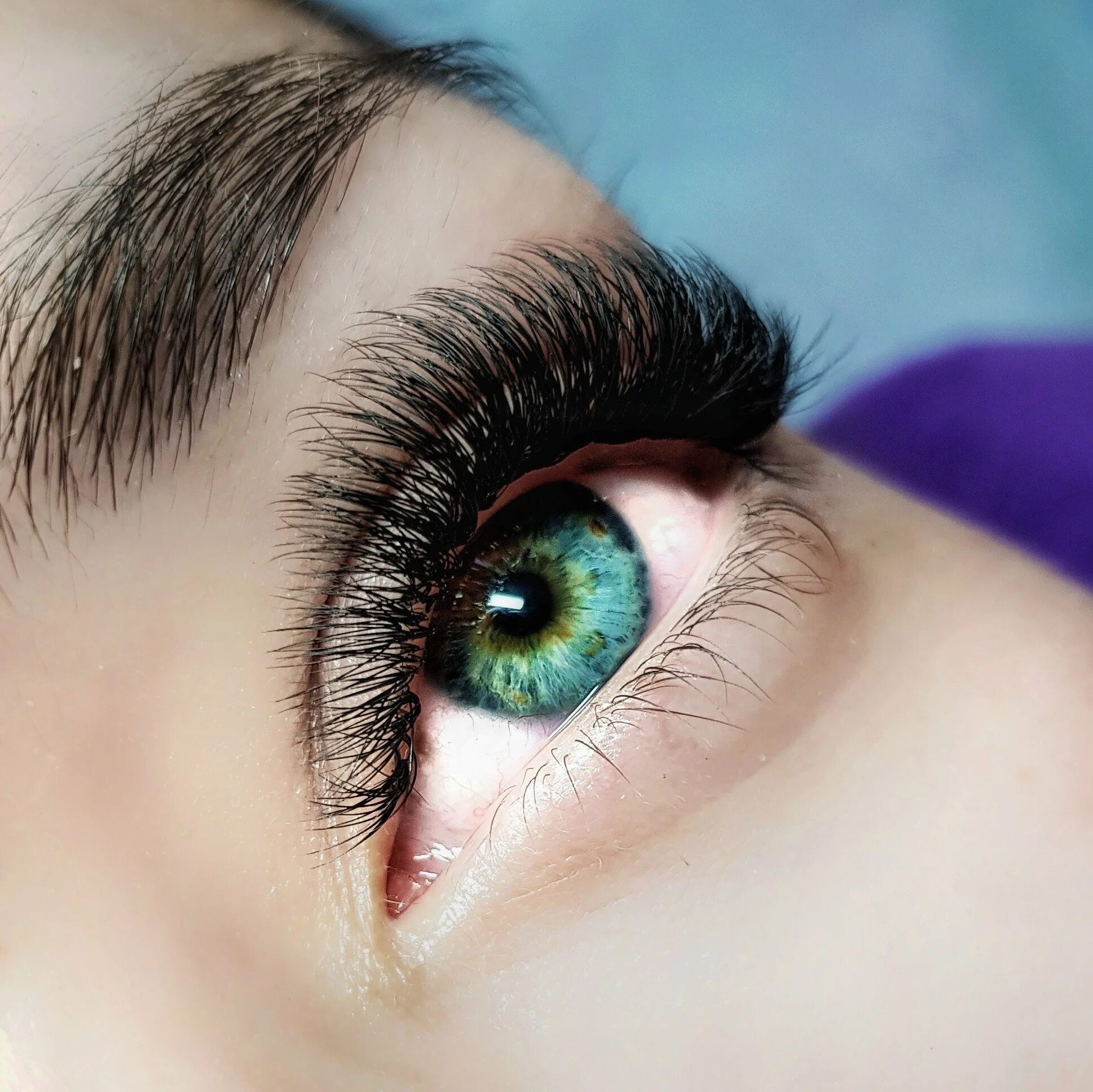 Наращивание ресниц 2д эффект бабочки. Нарощенные ресницы 3сс. Наращивание ресниц эффект бабочки. Наращивание ресниц эффект бабочки. Наращивание ресниц бабочка.