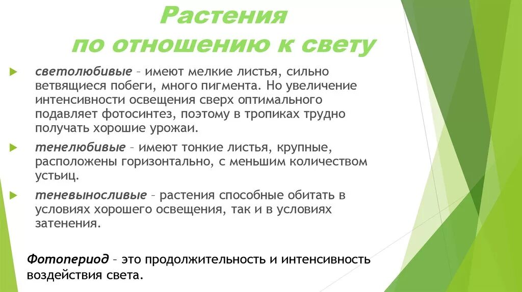 Большие имеют мелких. Растения по отношению к свету. Группы растений по отношению к свету. Классификация растений по отношению к свету. Экологическая группа светолюбивых растений.