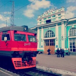 Тайга мариинск