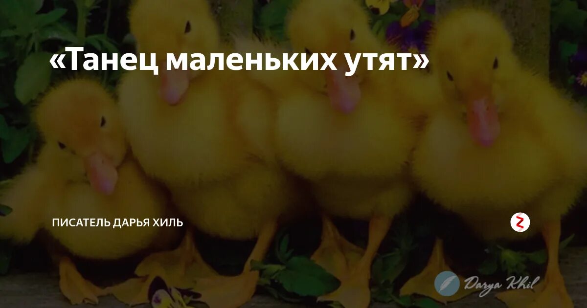 На танцуешь утят песня слушать. Танец маленьких утят. танец маленьких утят текст. группа малинки танец маленьких утят. на шагающих утят быть похожими хотят.