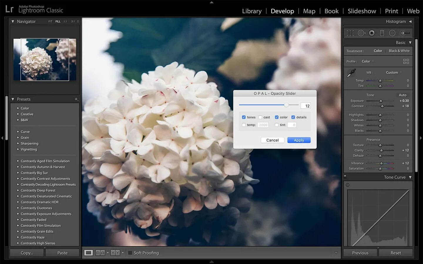добавление фотографий в lightroom. лайтрум. Embedded preview в лайтруме. загрузка лайтрума. колесо в лайтруме.