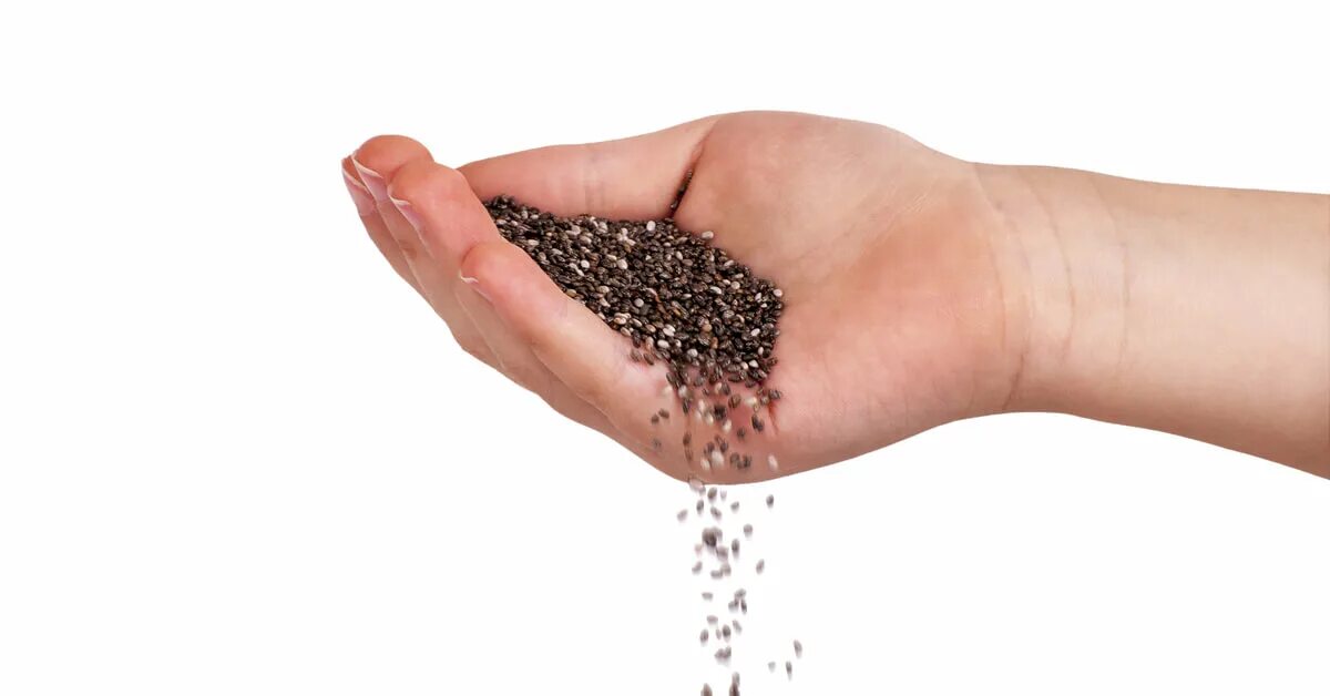 сыпать семечки. рука с семенами. семена подсолнечника (20 кг). горсть семечек на ладошке. зерно сыпется.