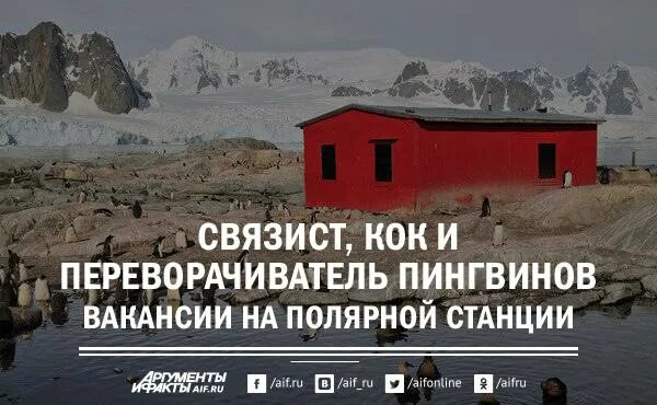 Подниматель пингвинов вакансии. Полярные станции вакансии. подниматель пингвинов зарплата. работа поднимать пингвинов в антарктиде зарплата вакансии. зарплата на полярной станции.