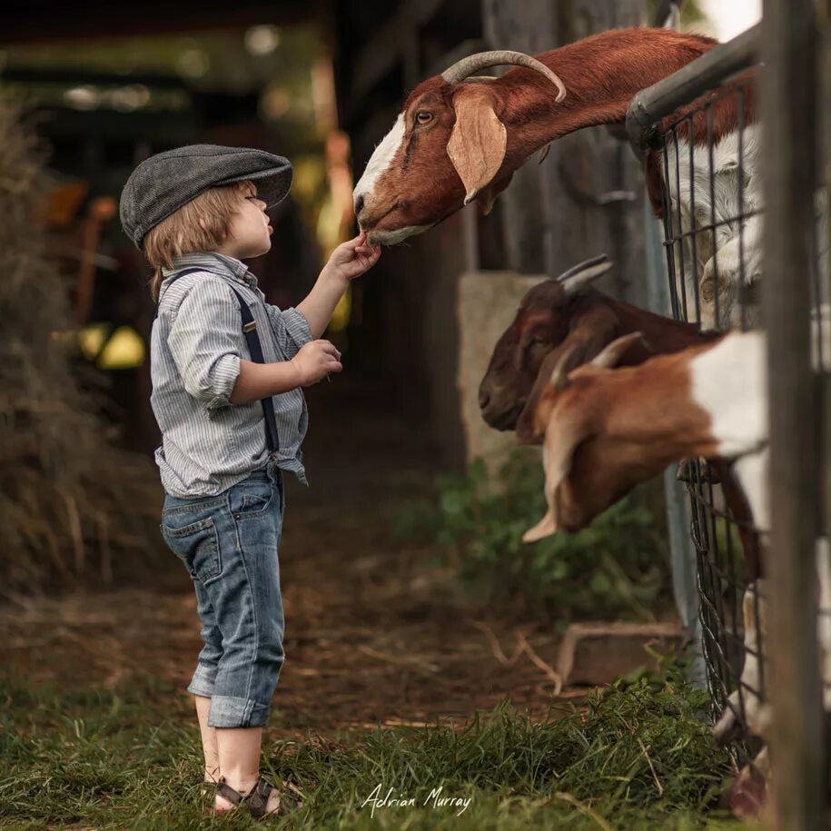 Country children. Ферма для детей. Малыши. В деревне. Деревенские животные. Дети в деревне с животными.