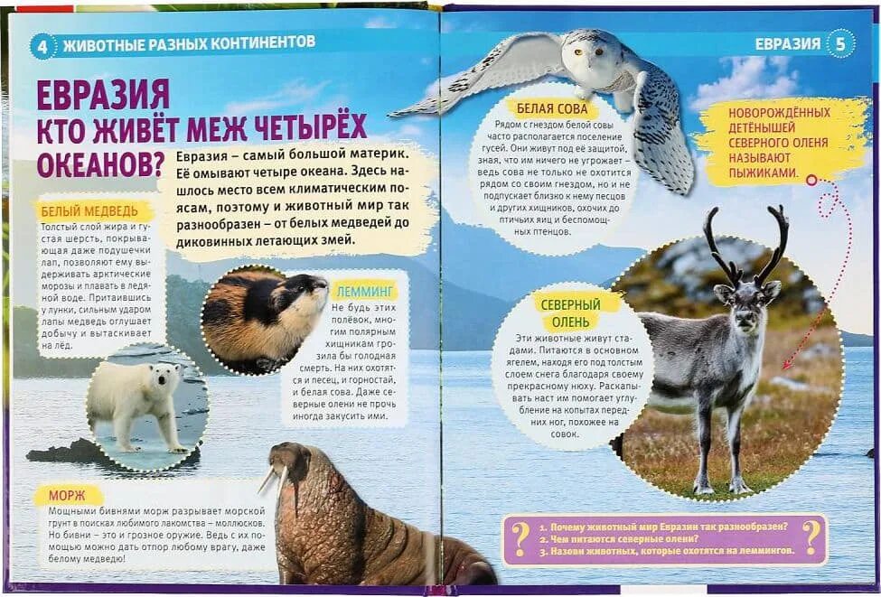 Какие животные живут рядом с умкой 4. Энциклопедия умка животные арктики. энциклопедия умка животные разных континентов. умка животные энциклопедия 6493. энциклопедия с развивающими заданиями животные разных континентов.