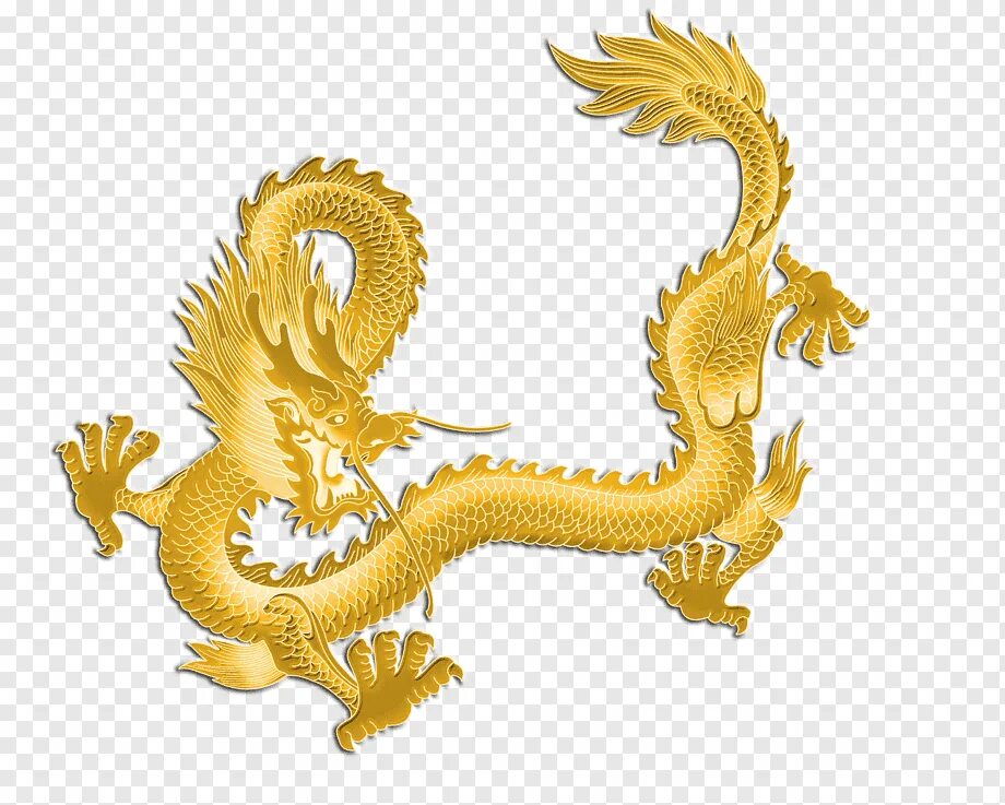 Дракон 2024 пнг. Золотой дракон китайский сбоку. Золотой дракон для фотошопа. Золотой китайский дракон на белом фоне. Китайский дракон на прозрачном фоне для фотошопа.