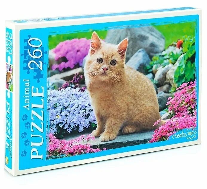 310219 губка для посуды "стандарт" "рыжий кот" (10шт). губка-чудо тм рыжий кот. рыжий кот производитель. пазлы 160 шт. пазл рыжий кот animal чудесный мир (п260-1181), 260 дет.