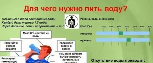 Для чего женщине надо пить. Пить воду по часам. Вода по часам для похудения. Прием воды для похудения. Схема приема воды в течение дня.