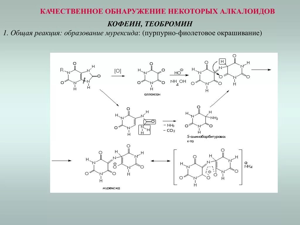 Мурексидная проба на барбитураты. Реакции обнаружения дубильных веществ. Качественное обнаружение алкалоидов. Теобромин качественная реакция.