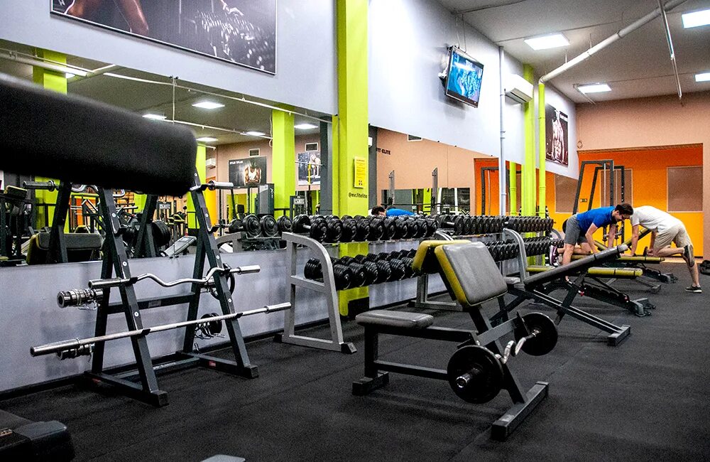 Фитнес ивантеевка. Health club ивантеевка. Фитнес ивантеевка. Health club ивантеевка. Фит элит ивантеевка.